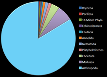 AnimalsRelativeNumbers.png