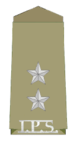 Insignia of ASP, 1st Year of service