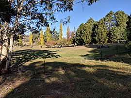 Autumn colours at Tomboye.jpg