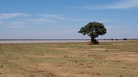 Lac de Bagré makalesinin açıklayıcı görüntüsü