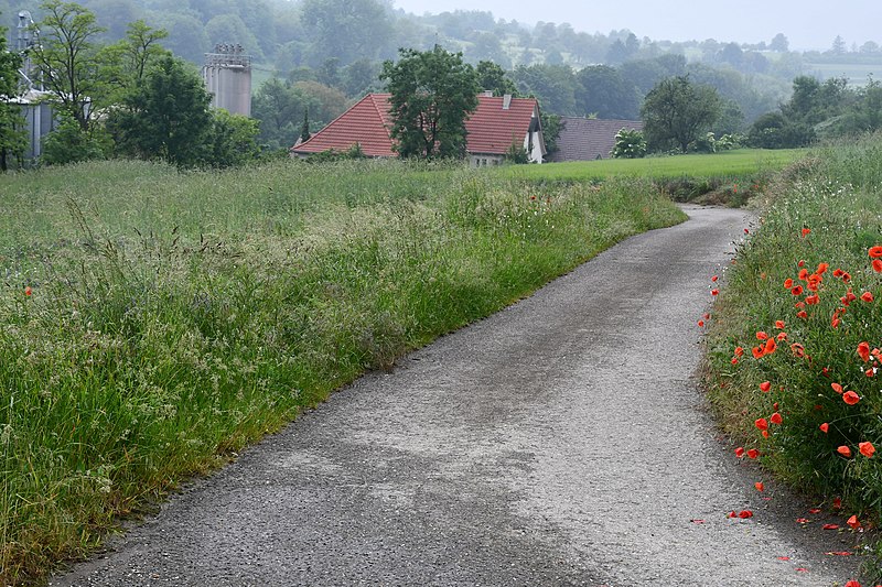 File:Bahnstrecke Bretten-Kürnbach Feldweg-BÜ Störrmühle 2021 06 06.jpg