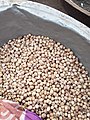 Bambara_beans