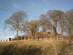 Château de Bampton, Devon.jpg