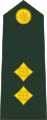 Lieutenant бенг. লেফটেন্যান্ট (Бангладешка армија)[10]