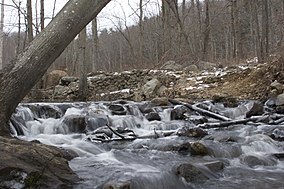 Bennetts Teich Park.jpg