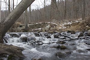 Runoff from Bennett's Pond in winter