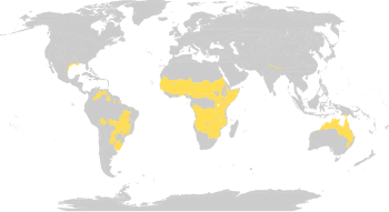 Biome map 07.svg