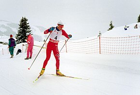 Bjørn Dæhlie: Karriere, Etter idrettskarrieren, Meritter