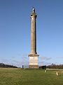 Colonne de la victoire, palais de Blenheim