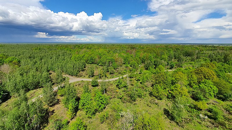 File:Blick vom Haselbergturm 2021-05-23 1.jpg