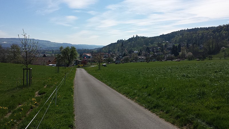 File:Blick von Nordwesten auf Wohlenschwil.jpg