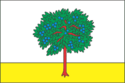 博霍杜希夫旗幟