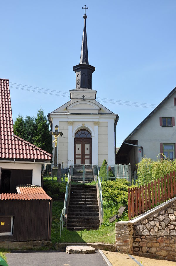 Borovnice (okres Žďár nad Sázavou)