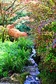Botanical Gardens, Royal Victoria Park, Bath-9069291551.jpg