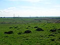 Boyd's Hill summit, looking south.