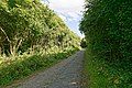 Le sentier du Mougau 21 (le sentier en direction du lac du Drennec).