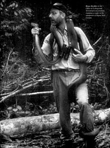 Beehler with a snake in a Papuan rainforest (photo from State Magazine) Bruce Beehler, State Magazine 1997-06- Iss 406 (IA sim state-magazine 1997-06 406) (page 29 crop).jpg