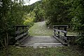 Brücke an der Barbarossaschlucht 20190821 011.jpg