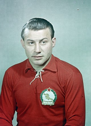 <span class="mw-page-title-main">László Budai</span> Hungarian footballer