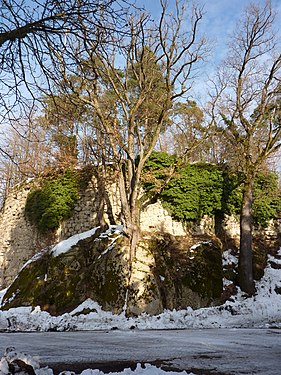 Nature stronger than the fortification of Burg Kreuzen, Upper Austria