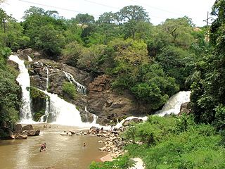 <span class="mw-page-title-main">Cuvo River</span> River in Angola