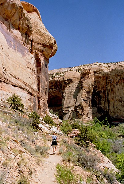 File:Calf Creek Canyon.jpg