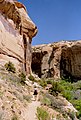 Calf Creek Canyon