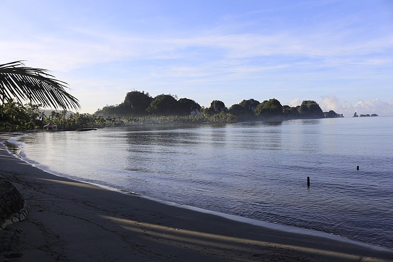 File:Caluwayan palm island resort.jpg