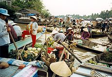 Вијетнам: Географија, Историја, Становништво
