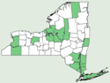 Carex seorsa NY-dist-map.png