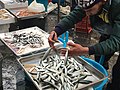 Catania Fish Market (a Piscarìa)