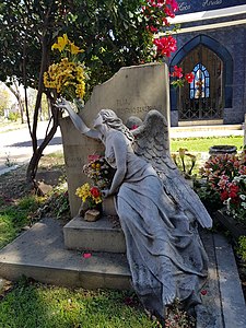 Grave of Montaño Sanabria, Depicted place: Cochabamba Cemetery Photograph: PatriciaDueriM