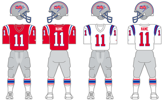 <span class="mw-page-title-main">1983 Chicago Blitz season</span> Defunct football team in the USFL