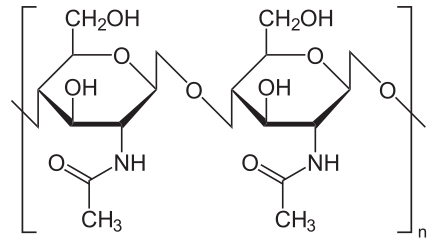 File:Chitin Haworth.svg