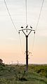 * Nomination White storks (Ciconia ciconia) on an electricity pylon in Macin, Romania --Poco a poco 06:28, 30 March 2018 (UTC) * Promotion Good quality. --XRay 06:47, 30 March 2018 (UTC)