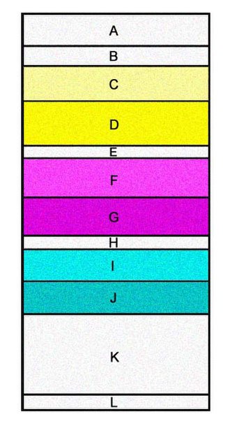 A representation of the layers within a piece of developed color 35 mm negative film. When developed, the dye couplers in the blue-, green-, and red-s