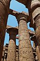 * Nomination Columns of the Temple of Karnak-Egypt --Alberto-g-rovi 17:59, 31 October 2013 (UTC) * Decline Some CA at the top, and I'd appreciate a mild sharpening. Mattbuck 21:24, 5 November 2013 (UTC)