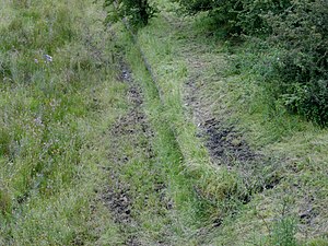 Commondyke Bahnhofsgelände und alter Bahnsteig, in der Nähe von Auchinleck, East Ayrshire, Scotland.jpg