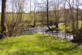 English: Confluence of rivers, the Altefeld (back) is joined by the Alten Hasel River (right)