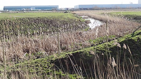 Crossness Nature Reserve 5