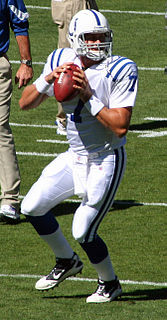 <span class="mw-page-title-main">Curtis Painter</span> American football player (born 1985)