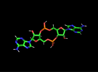 <span class="mw-page-title-main">Cyclic di-AMP</span> Chemical compound