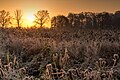 * Nomination Sunrise in the hamlet Börnste, Kirchspiel, Dülmen, North Rhine-Westphalia, Germany --XRay 04:36, 7 December 2016 (UTC) * Withdrawn Quality is good, but Sun looks weird. Any reason?--Nikhilb239 06:12, 7 December 2016 (UTC)  I withdraw my nomination Thanks. I think it's a result of an overexposed area. --XRay 17:33, 8 December 2016 (UTC)