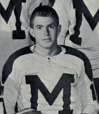 <span class="mw-page-title-main">Dave Dryden</span> Canadian ice hockey player (1941–2022)