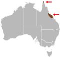 Range of the Stripe-tailed Delma (Delma labialis)