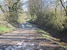 Der trockengefallene Ellerbach östlich Kirchborchen. Der Verlauf fällt hier mit einem landwirtschaftlichen Weg zusammen.