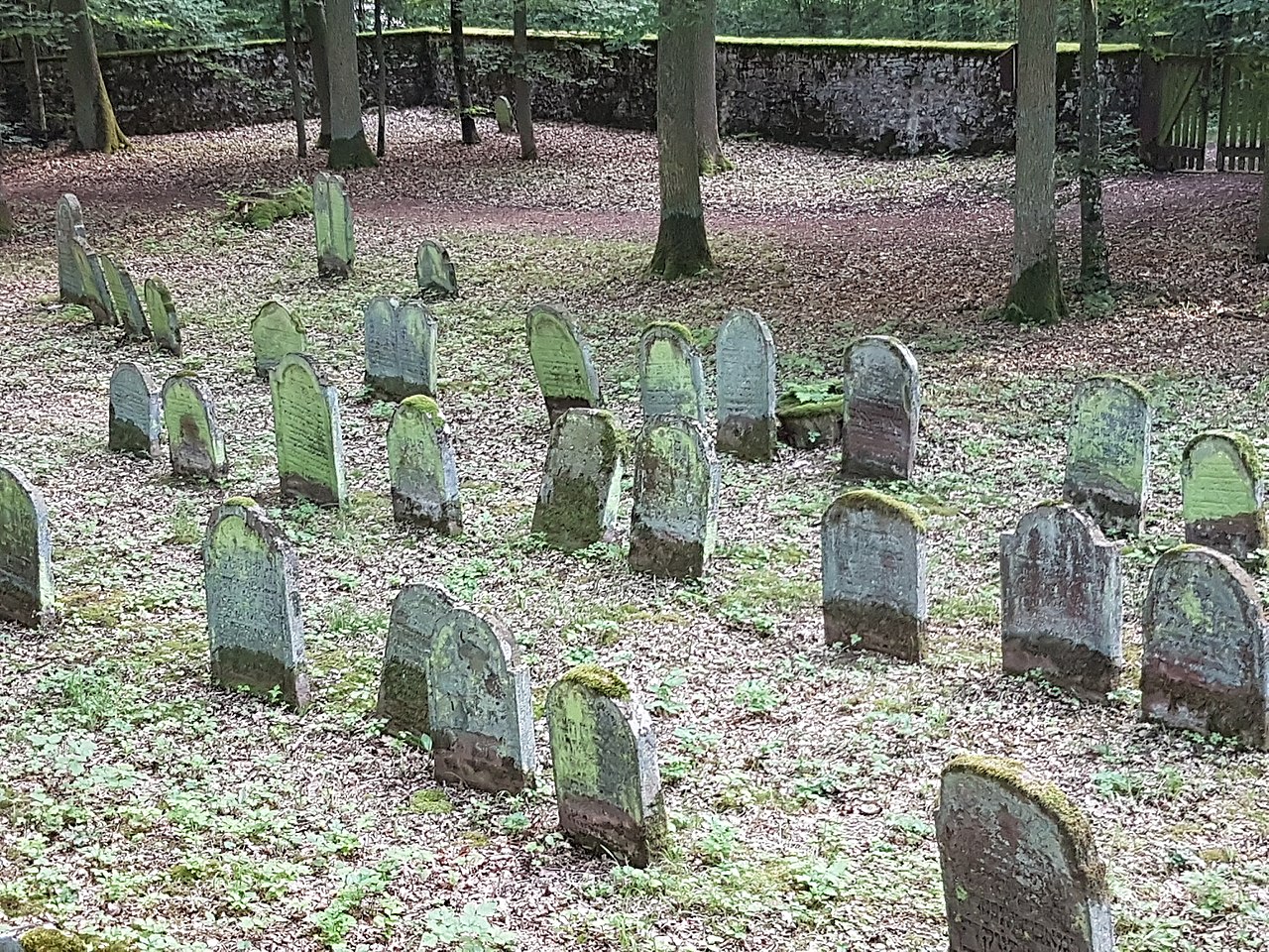 Der jüdische Friedhof in Wenkheim 10.jpg