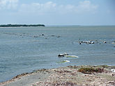 The destroyed railway track - a storm and high tidal waves destroyed Dhanushkodi in 1964