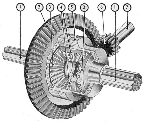 Schematic diagram of a ring-and pinion differential