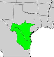 Diospyros texana gamma map.jpg